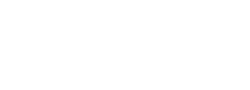 The Culture Institute